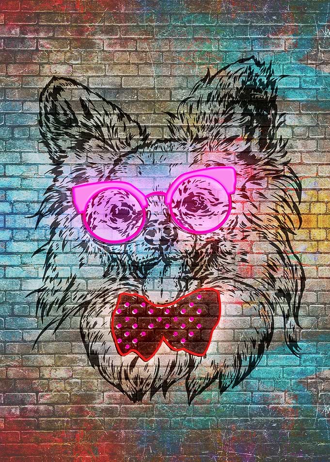 Cute puppy sunglasses