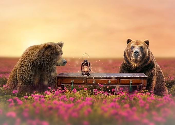 Mystic Animal Pictures
