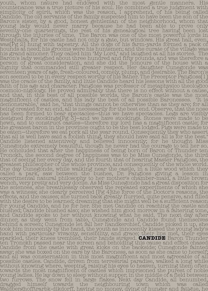Candide Book Text