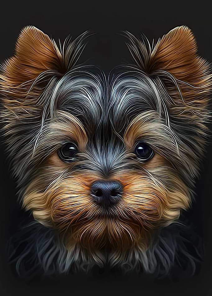 Yorkshire terrier portrait