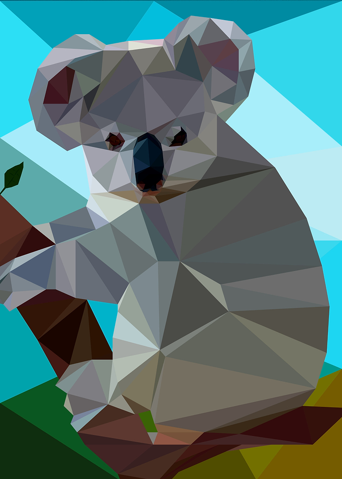 Koala