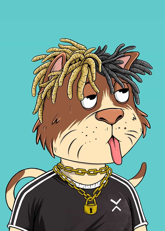 Hypebeast Cat
