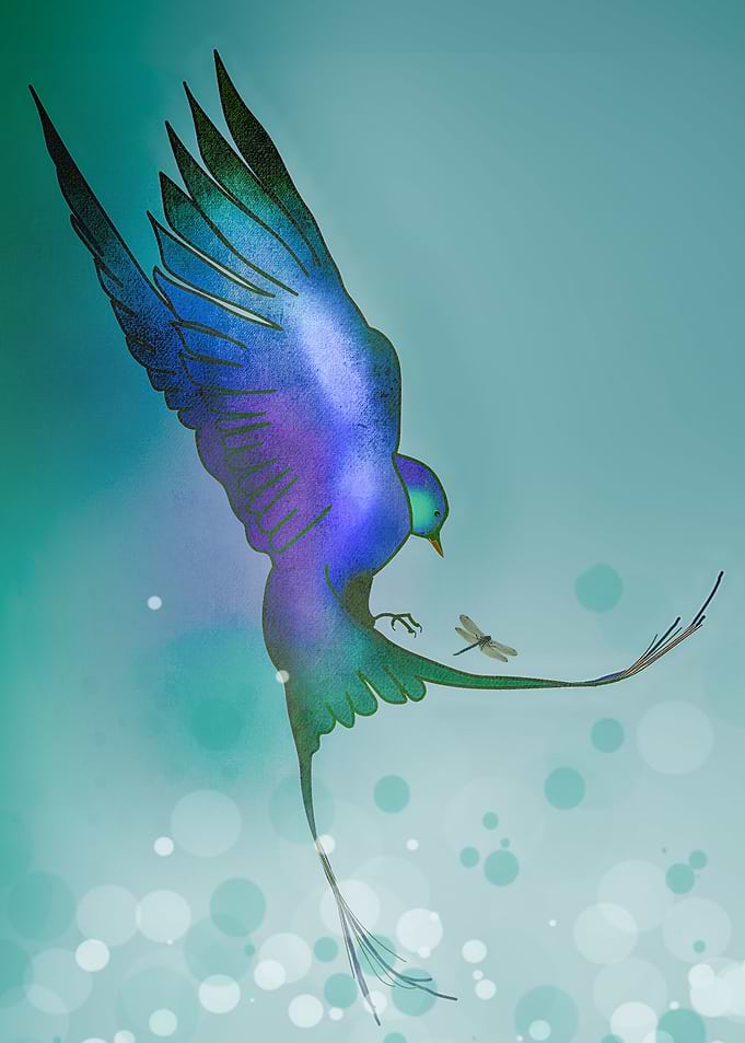 Mystic Animal Pictures