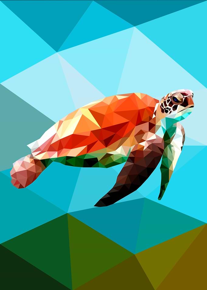 Turtle