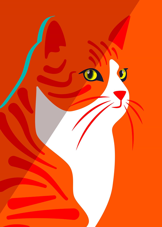 Ginger The Cat