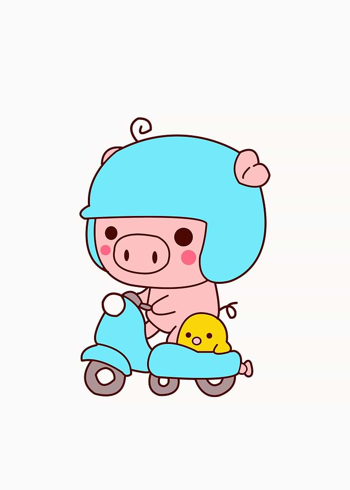 Pig Cute Animal