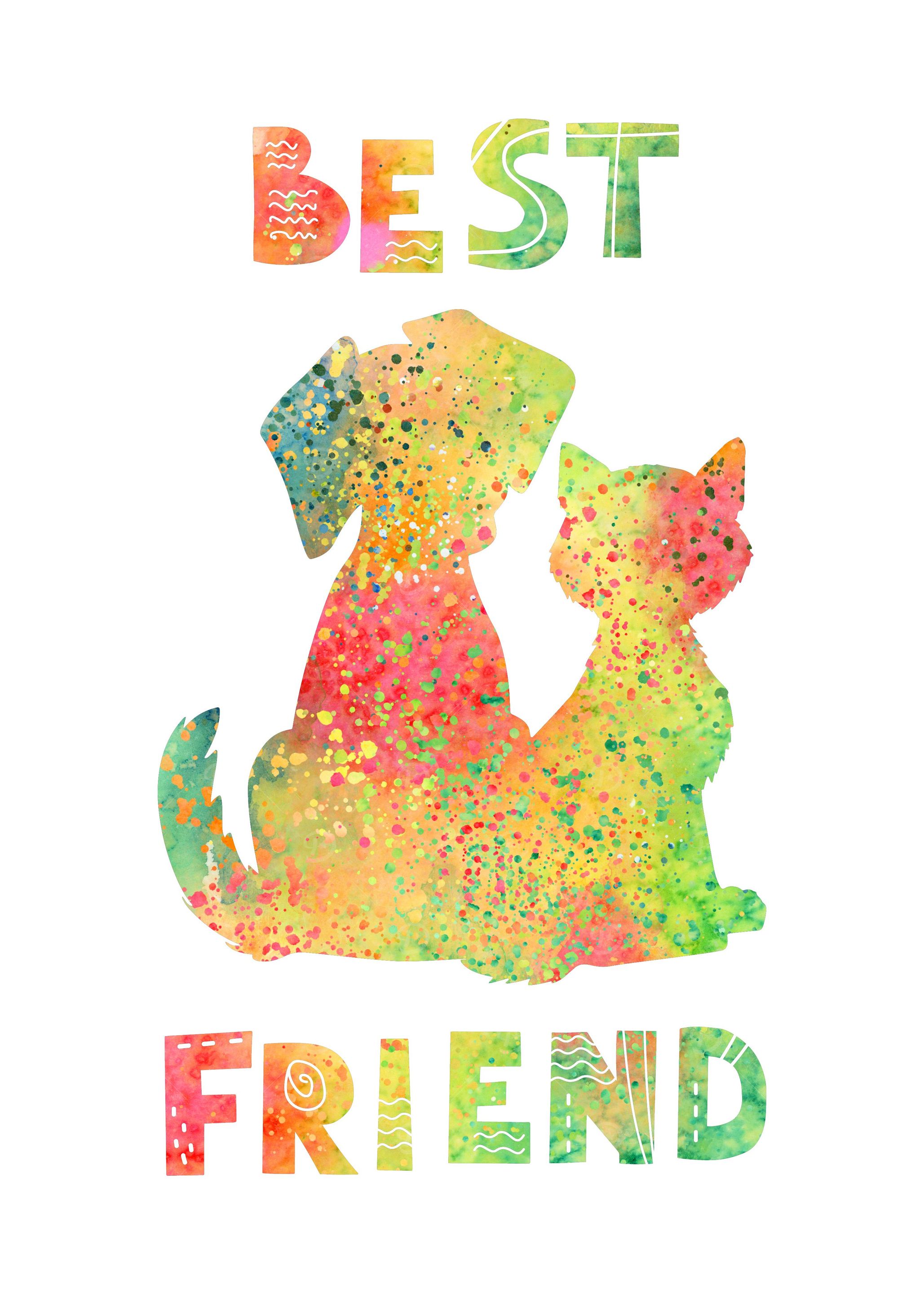 Dog and cat