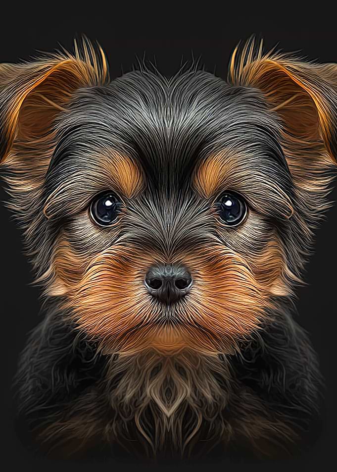Yorkshire terrier portrait