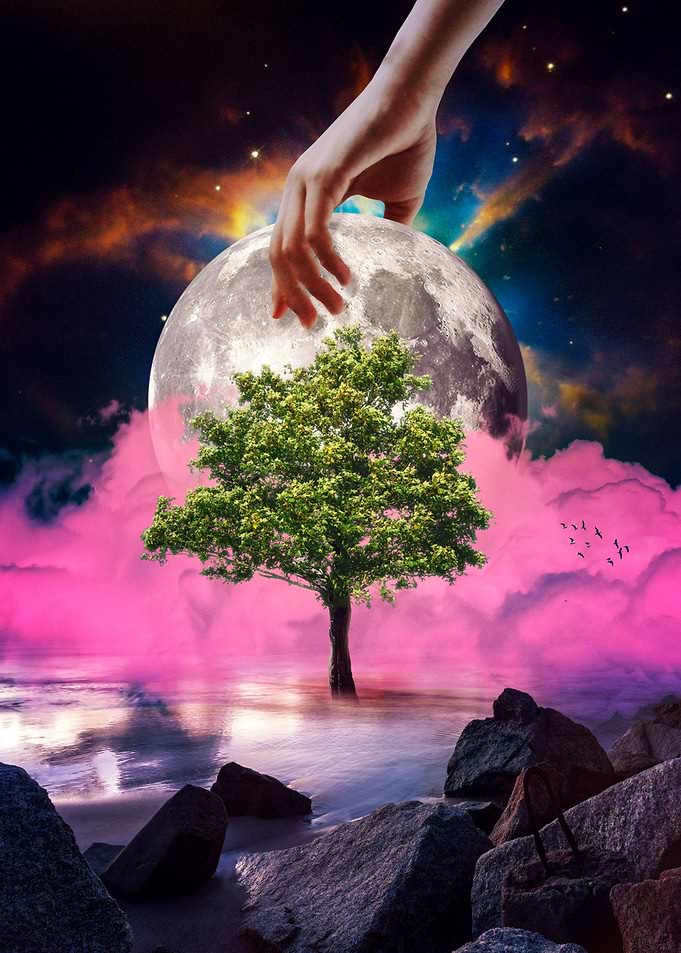 Secret Tree