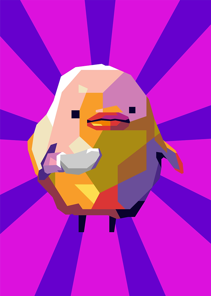 what the duck meme
