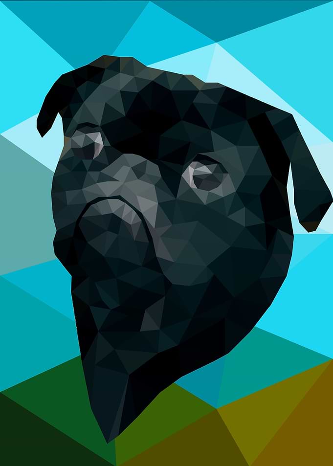 Pug