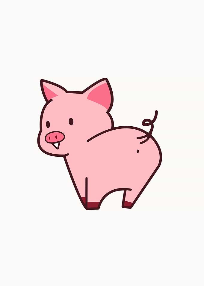 Pig Cute Animal