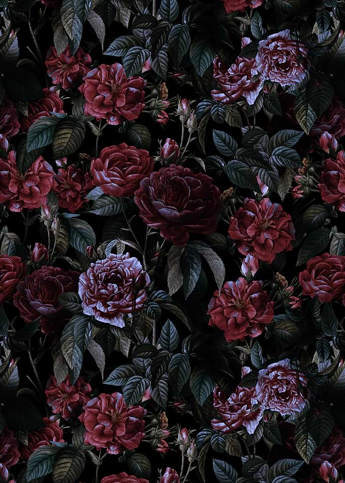 Roses Moon Garden