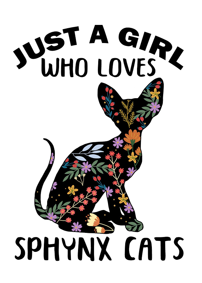 Cat Lady Sphynx Cat Gift