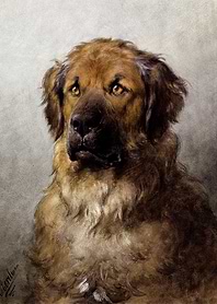 Hunting Dog