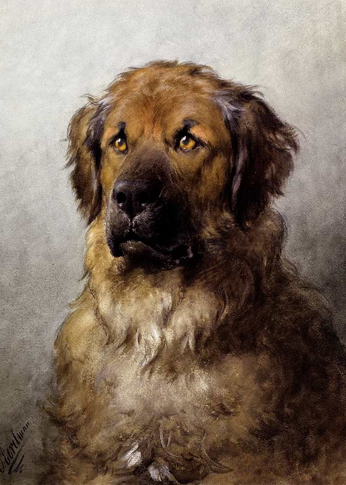 Hunting Dog