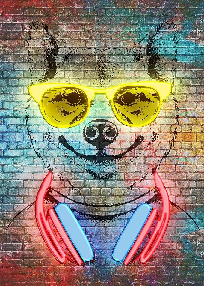 Dog in glasses