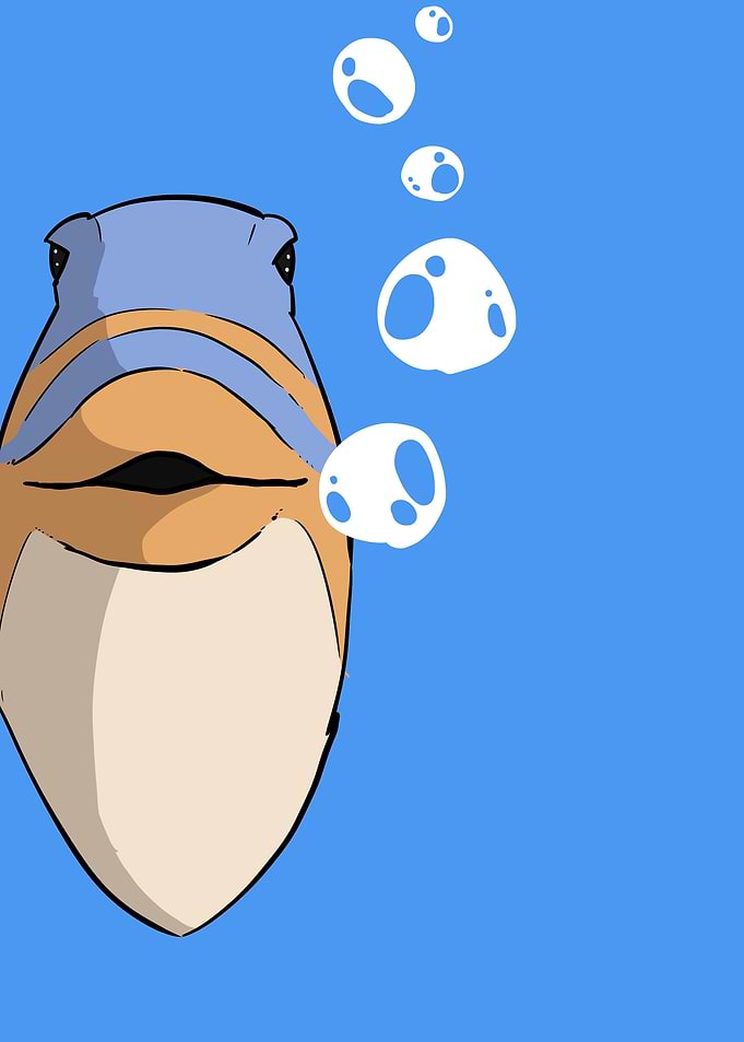 funny fish meme
