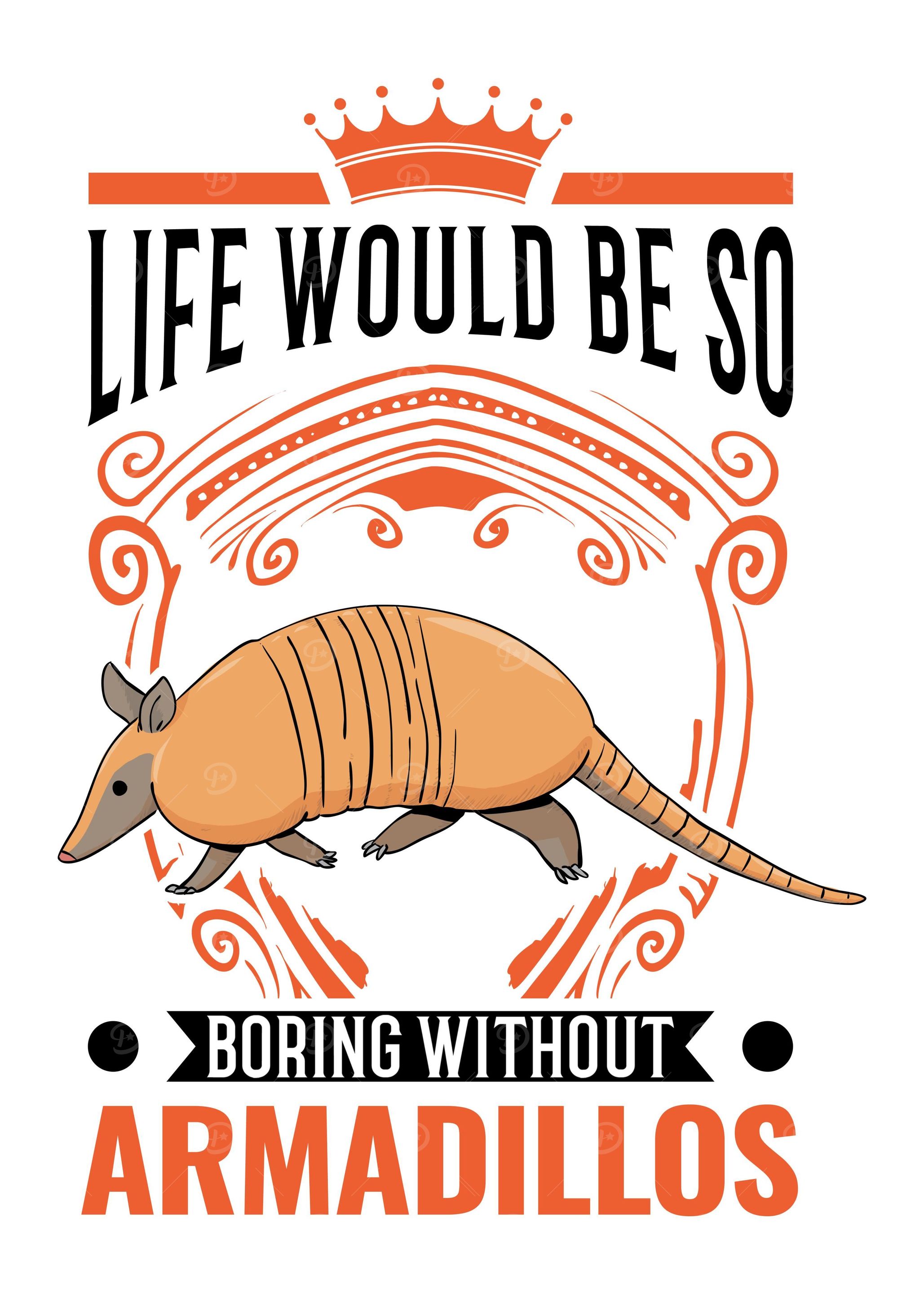 Armadillo Gift