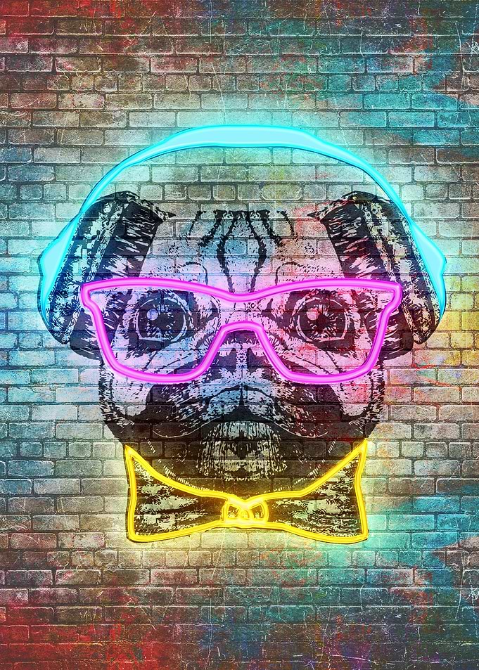 Retro Hipster animal
