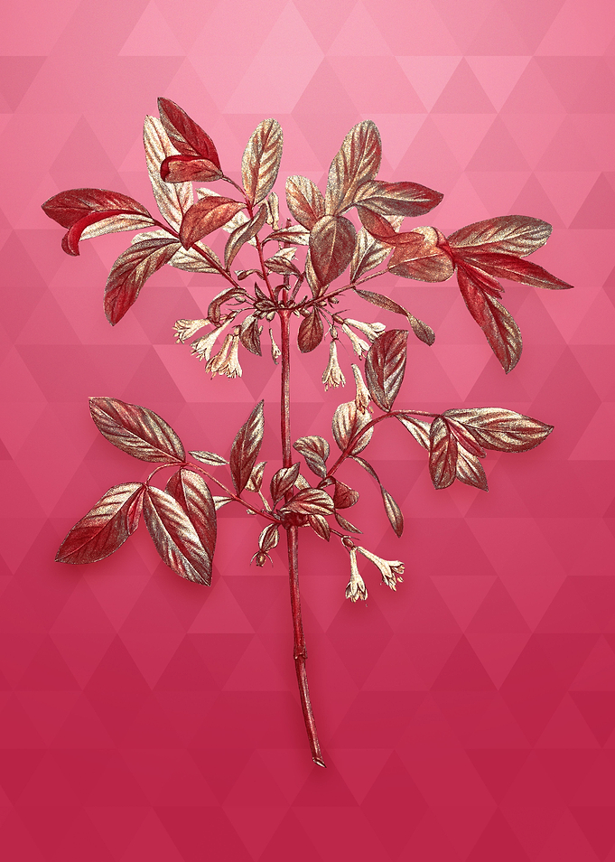 Vintage Honeyberry Flower