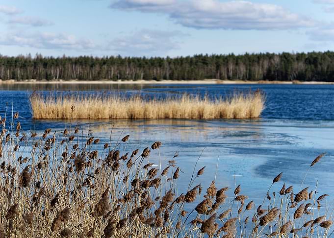 Winter rest on a lake