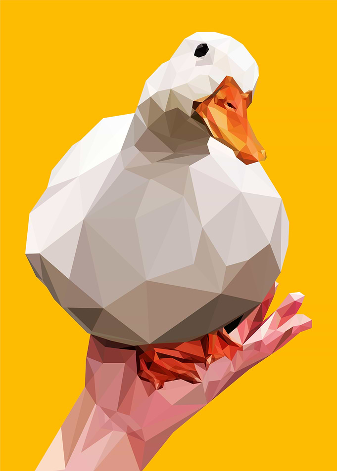 swayed gently duck on palm
