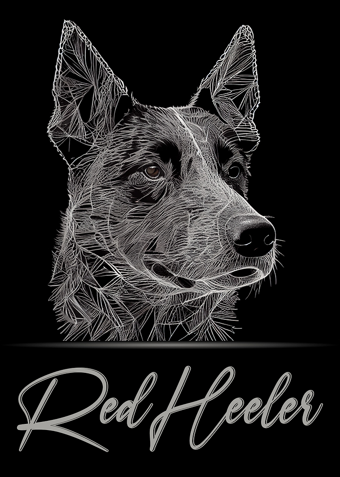 Red Heeler