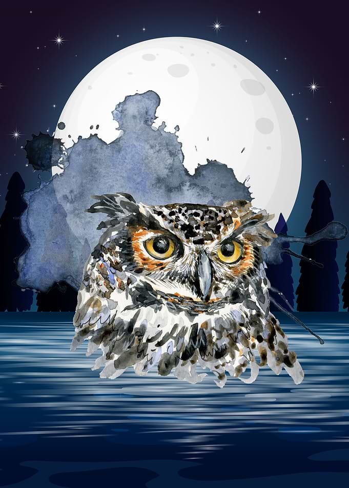 owl moon space galaxy