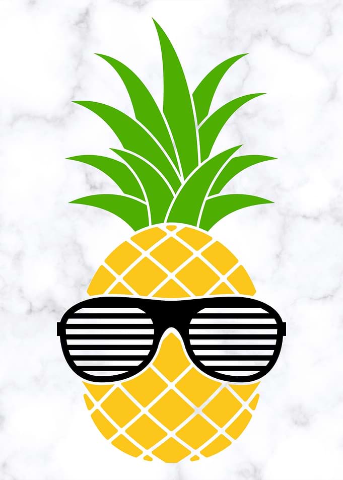 Funny Pineapple Sunglasses