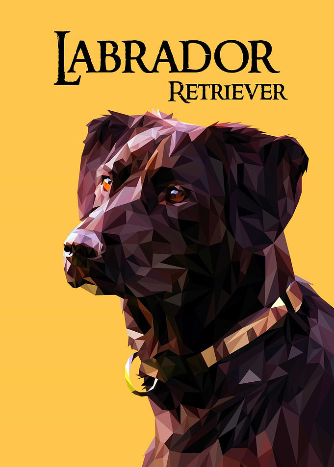 Labrador