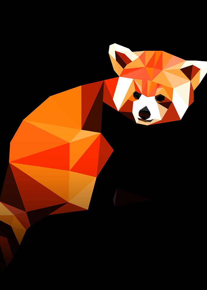 Red Panda