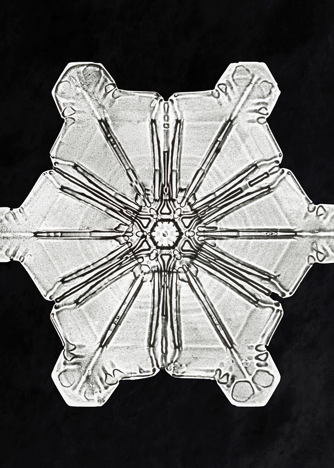 Snowflake 1012
