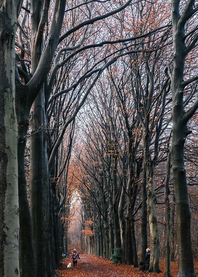 Noordheuvel Belgium