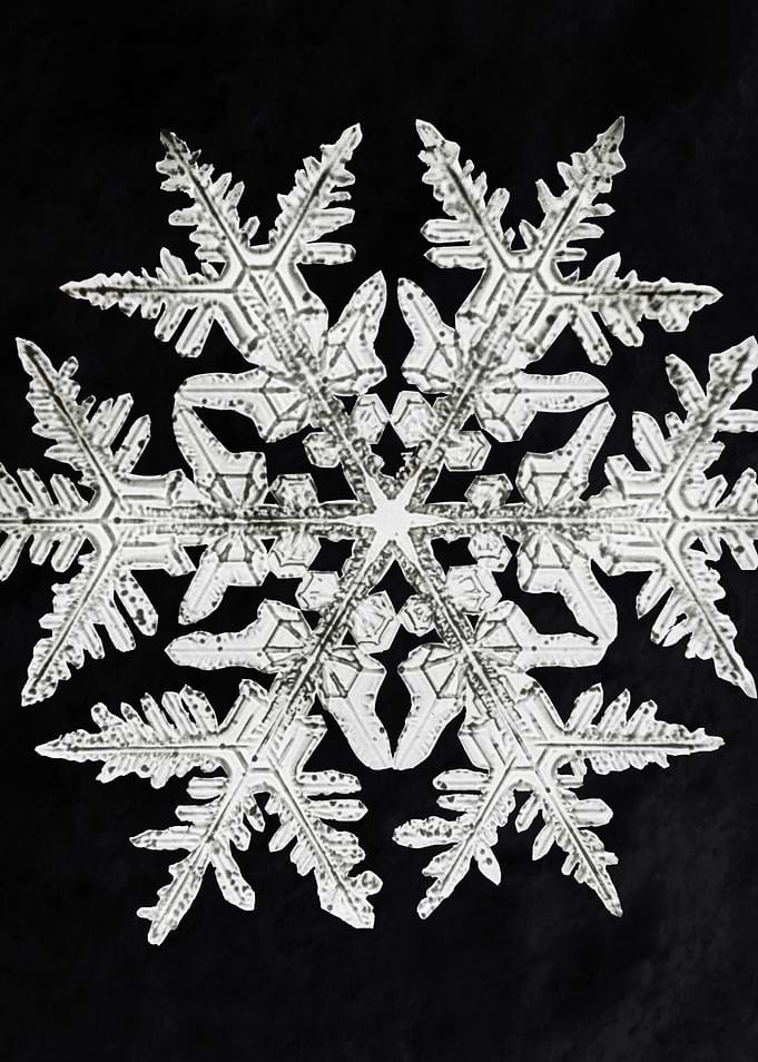 Snowflake 920