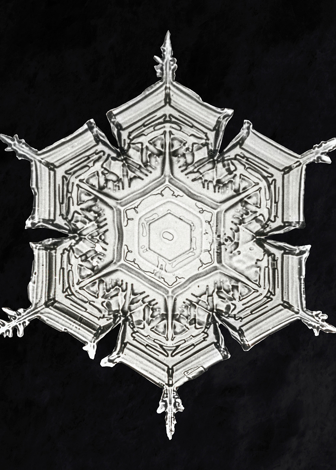 Snowflake 234