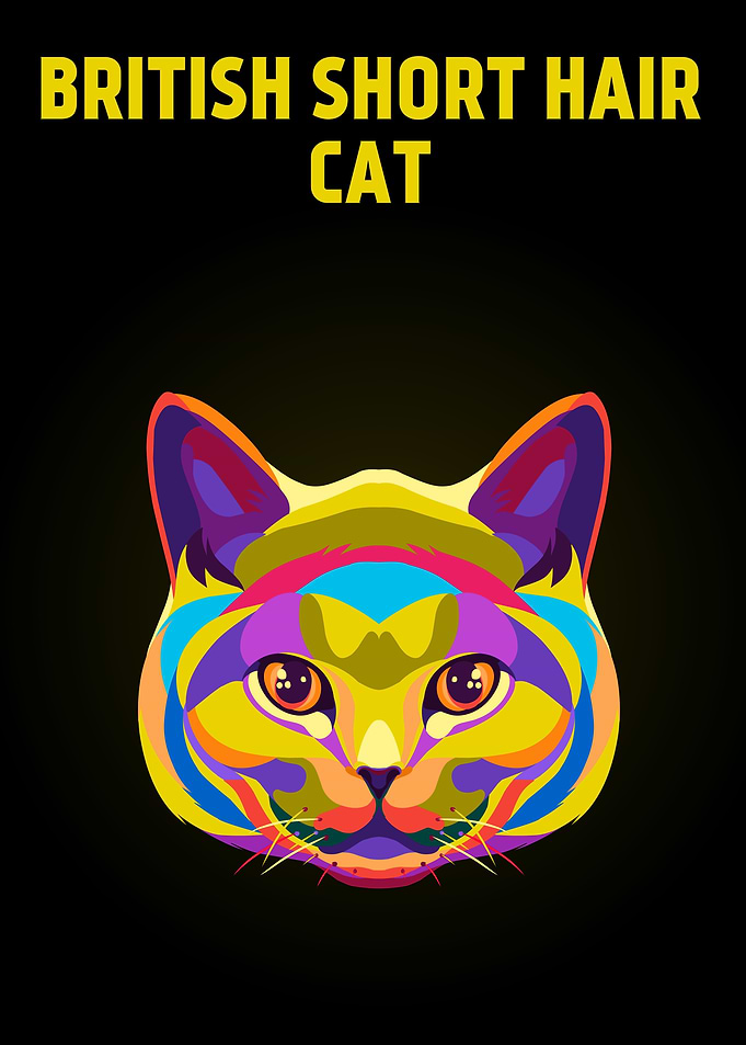 British Short hair cat