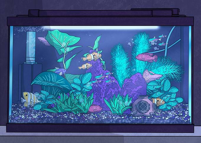 Aquarium After Midnight