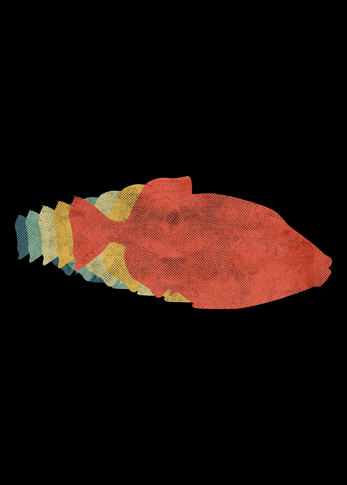 Fish Retro Vintage Color