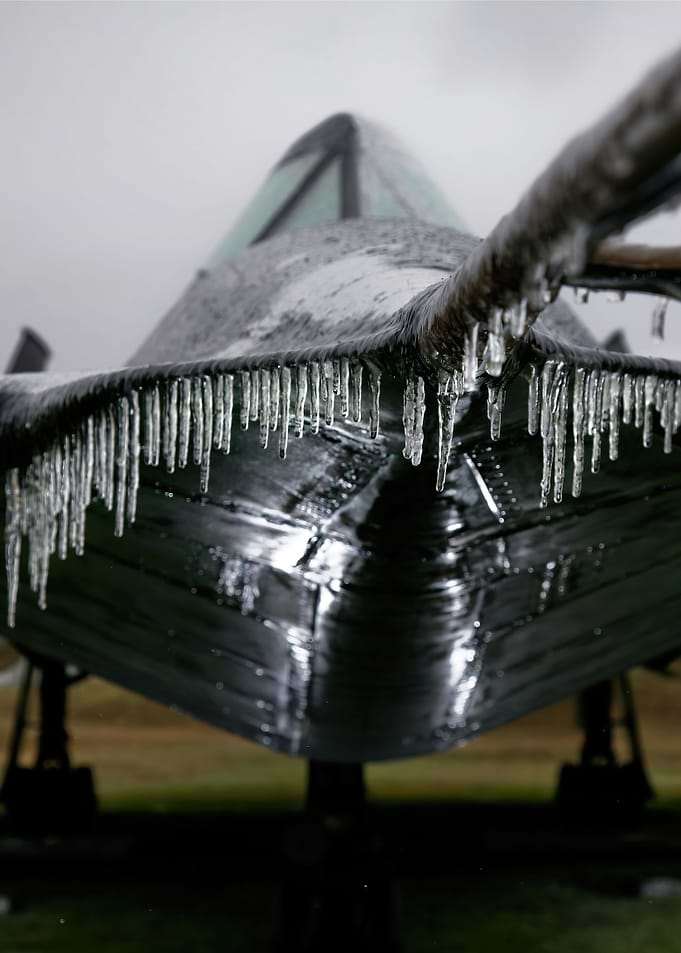 Frozen Blackbird