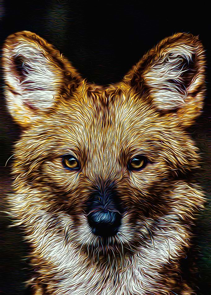 Wolf