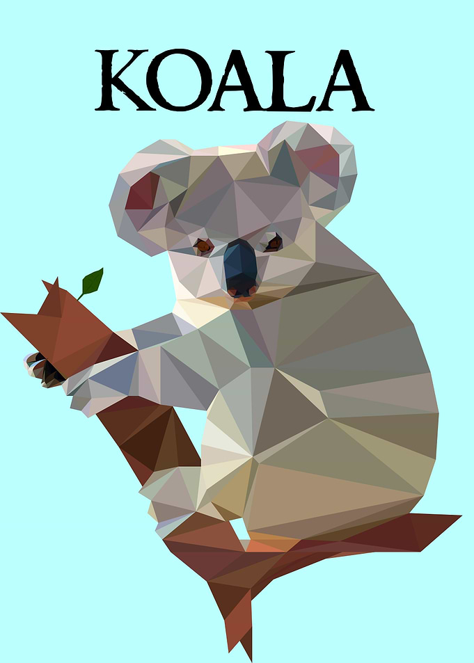 Koala
