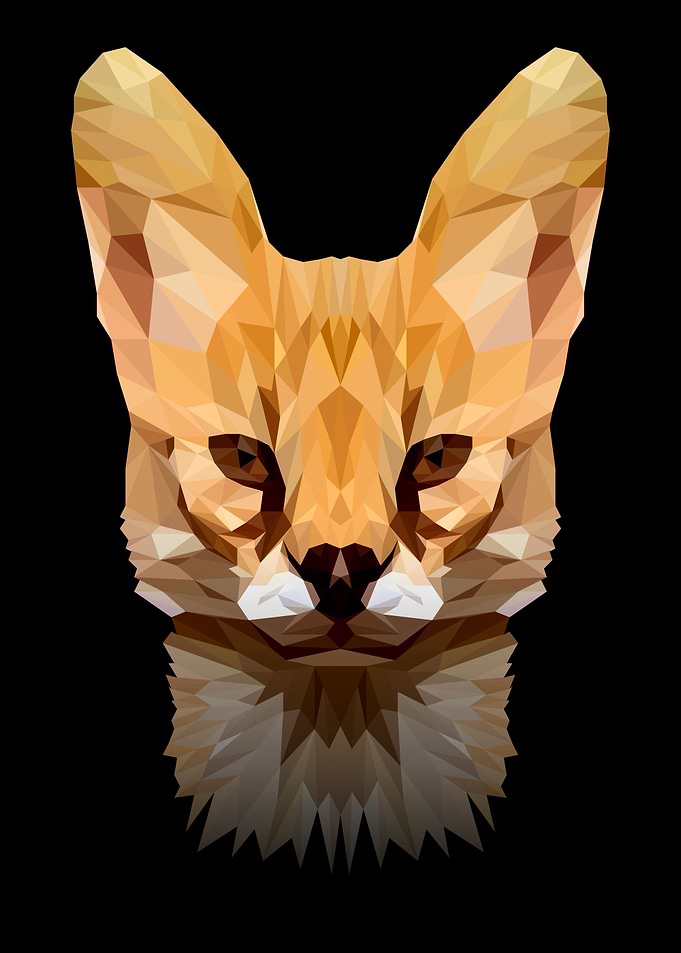 Lynx