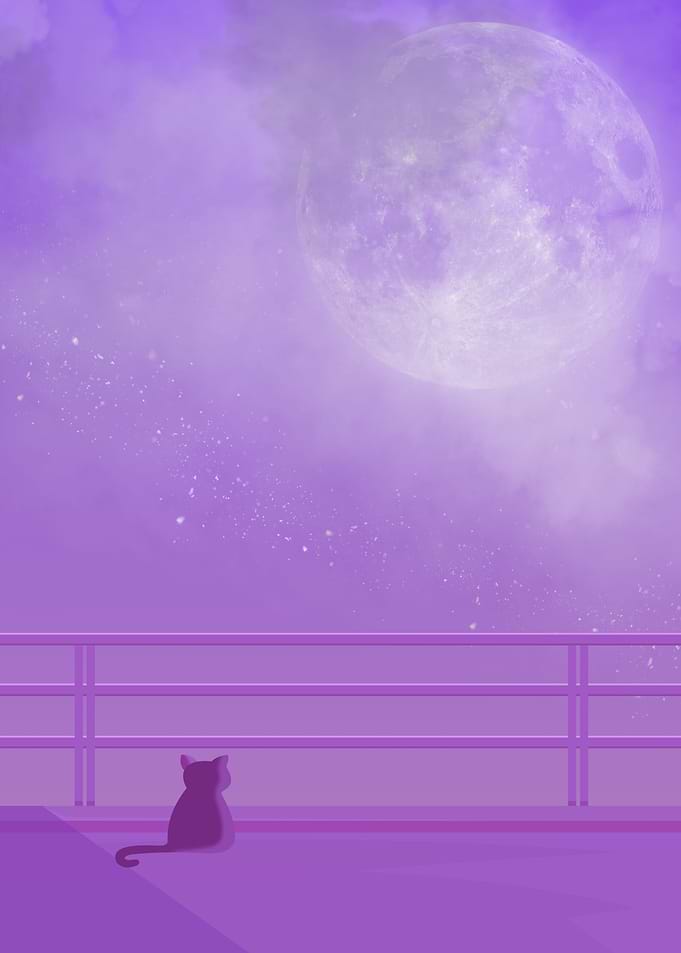 Lofi Cat Lover