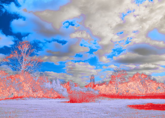 Landscape Shimmer