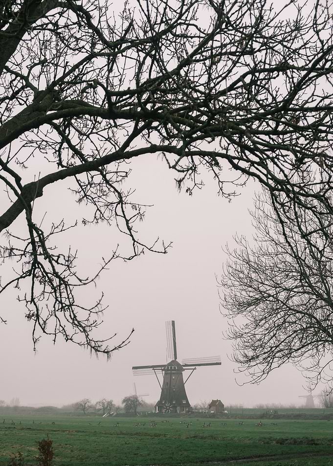 Kinderdijk Netherlands