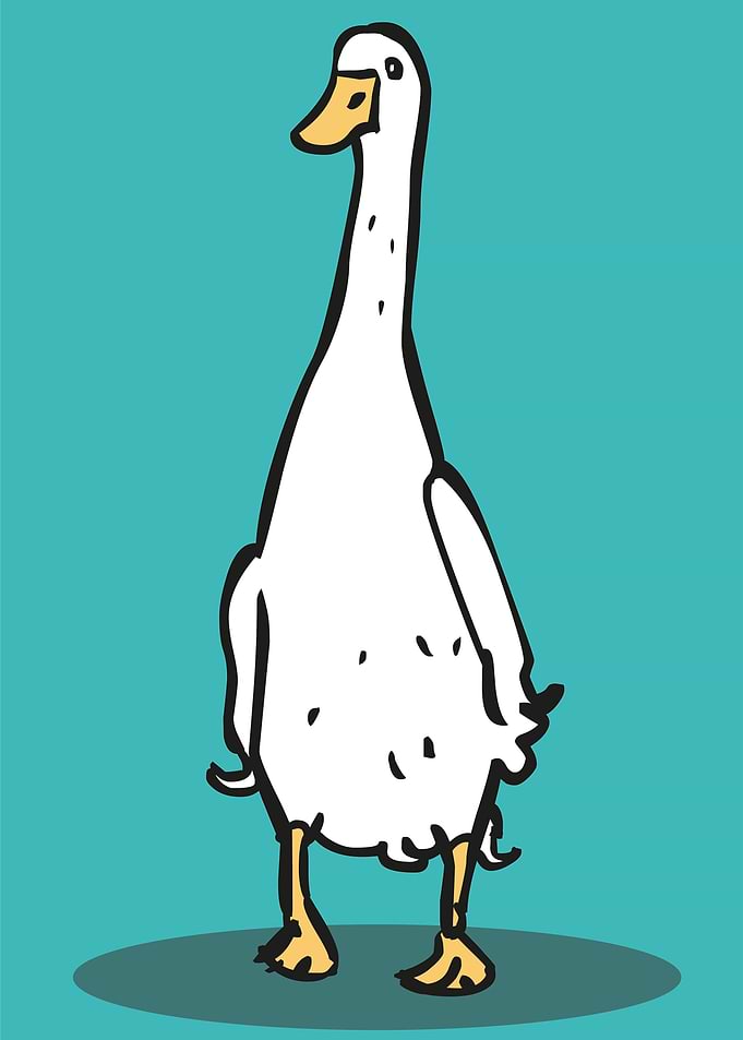 funny duck