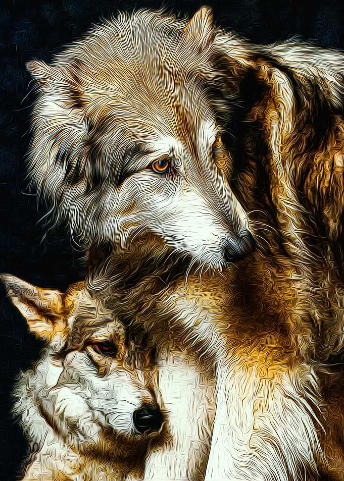 Wolf