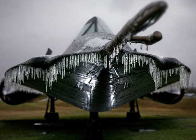 Frozen Blackbird