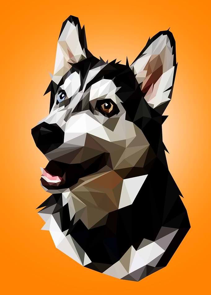 Husky